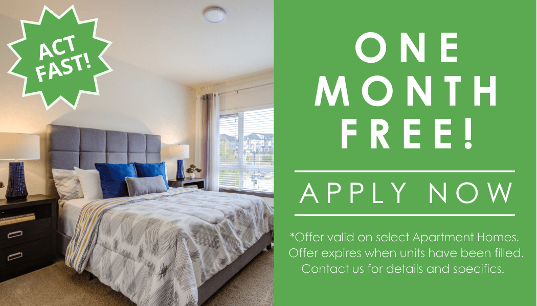 Spring into savings
